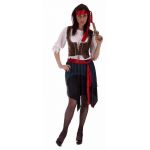 Adult Pirate Lady Plus Size Costume