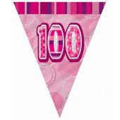 Pink Glitz 100th Flag Banner