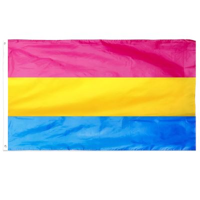 5x3ft Pansexual Gay Pride Flag