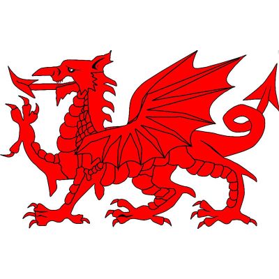 Wales Tattoos (pack quantity 12)
