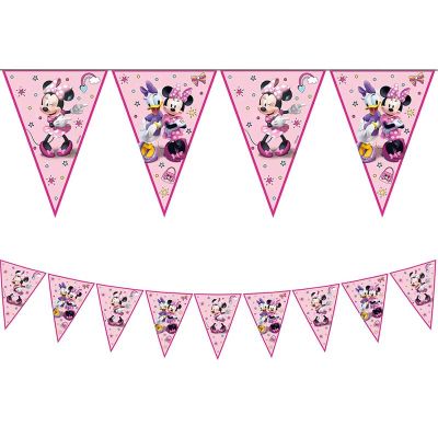 Minnie Junior Flag Banner