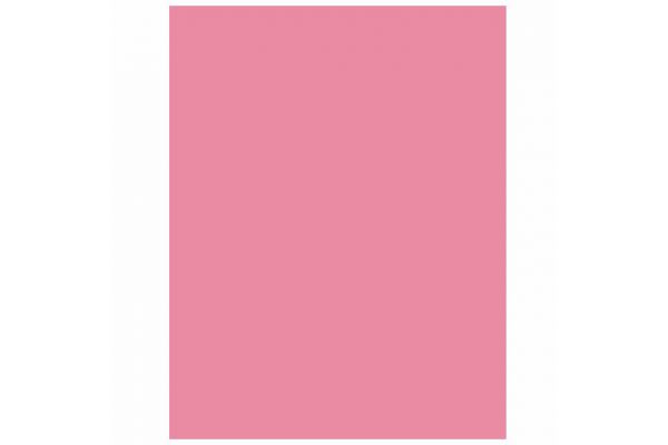 54x108 Inch Baby Pink Plastic Tablecover