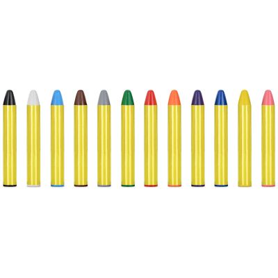 12pc Face Paint Crayons
