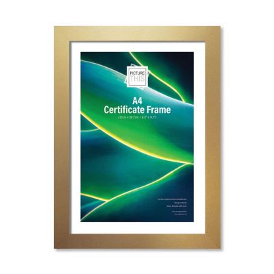 A4 Gold Basic Photo Frame