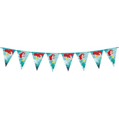 Ariel Curious Triangle Flag Banner