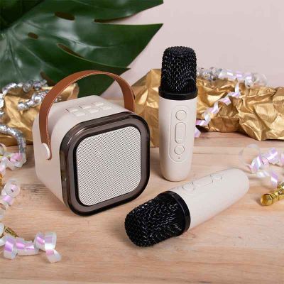 Karaoke Machine With 2 Microphones