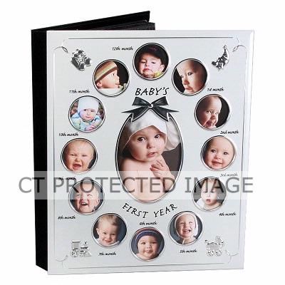 Babys First Year Photo Album