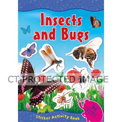 Insects Animal World
