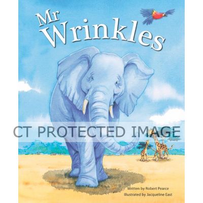 Mr Wrinkles Picture Book