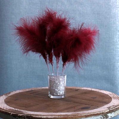 Burgundy Fluff Feather Bunch