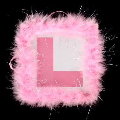 L Plate With Feather