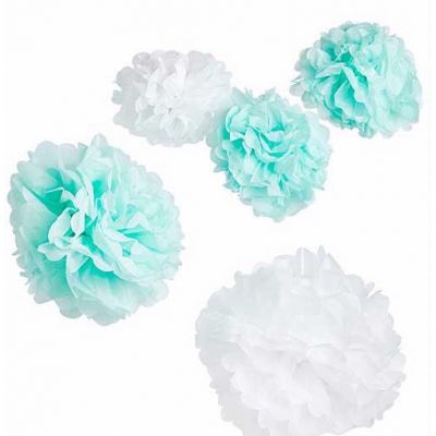 5pc Ready To Pop Unisex Pom Poms