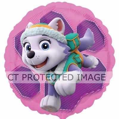 Paw Patrol Skye & Everest 18 Inch Foil