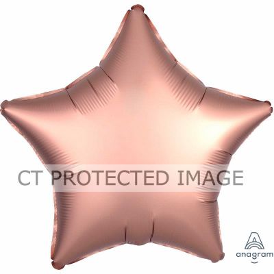 Satin Luxe Rose Copper 19 Inch Star