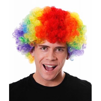 Rainbow Adult Clown Wig
