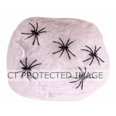 40g White Spiders Web & Spiders