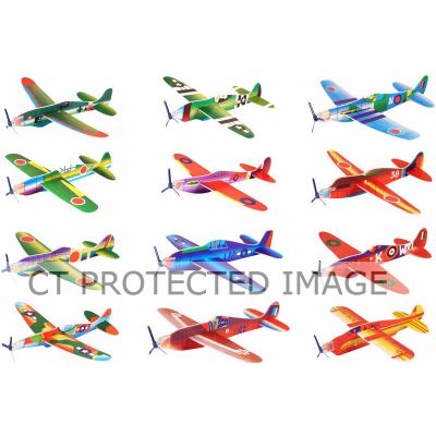 Assorted 20cm Flying Gliders  48s