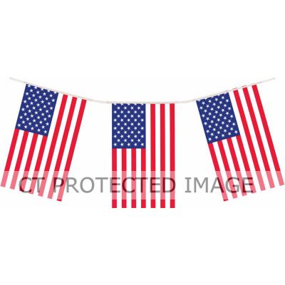 12ft Usa Pvc Bunting