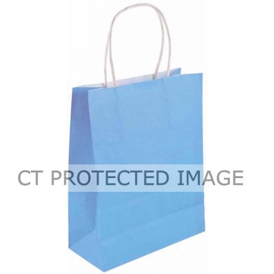 Baby Blue Bag With Handles  24s