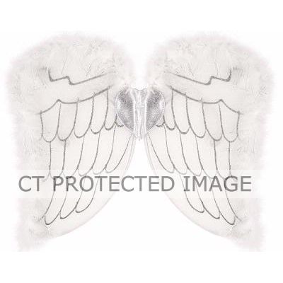 Child Angel Wings