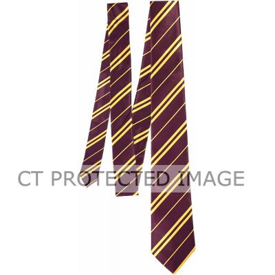 Wizard School Tie