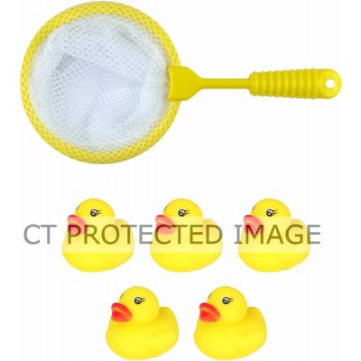 6pc Ducks And Net