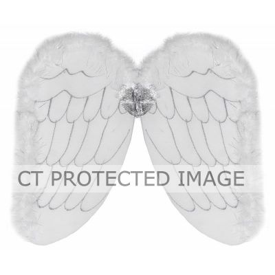 50x28cm Adult Angel Wings