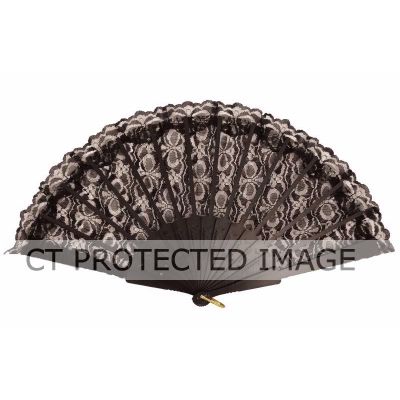 45x25cm Black Fan Lace