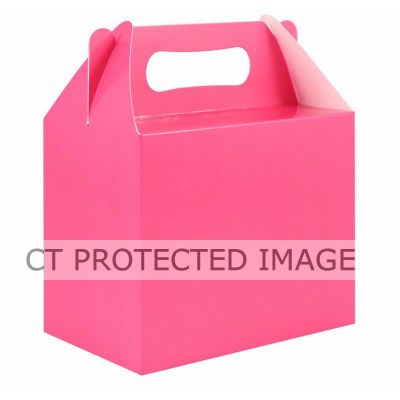 Hot Pink Lunch Box  12s