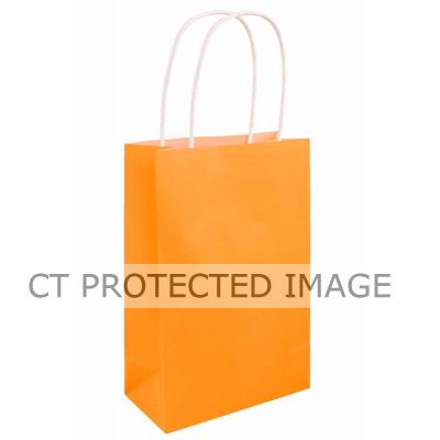 Neon Orange Bag W/handles  24s