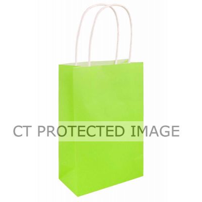 Neon Green Bag W/handles  24s