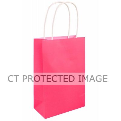 Neon Pink Bag W/handles  24s