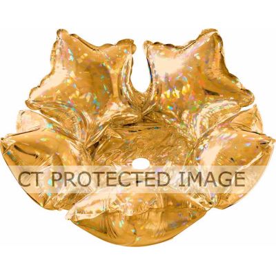 14 Inch Holographic Gold Foil Deco Star
