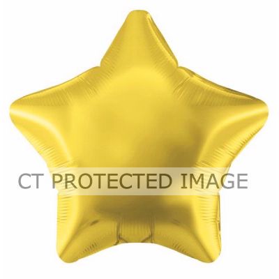 19 Inch Gold Star Foil Balloon
