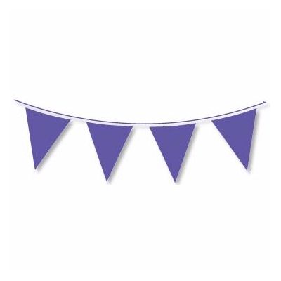 10m Regular Purple Bunting