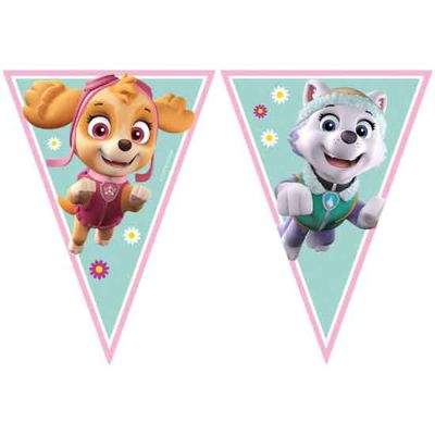 Paw Patrol Triangle Flag Banner