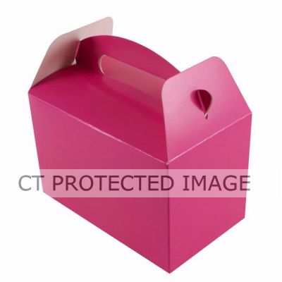  Fuchsia Party Boxes (pack quantity 6) 