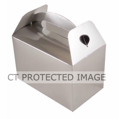  Metallic Silver Party Boxes (pack quantity 6) 