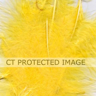 8g Assorted Yellow Feathers