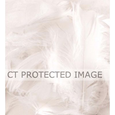 50g Assorted White Feathers