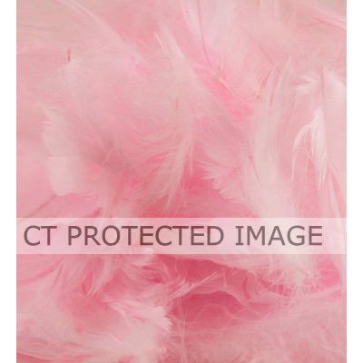 50g Assorted Light Pink Feathers