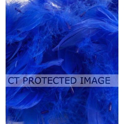 50g Assorted Royal Blue Feathers