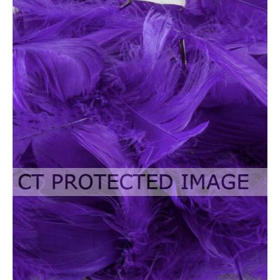 50g Assorted Purple Feathers