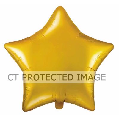 48cm Gold Star Foil Balloon