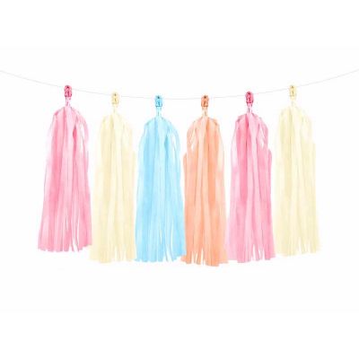 Assorted Colours Tassel Garland