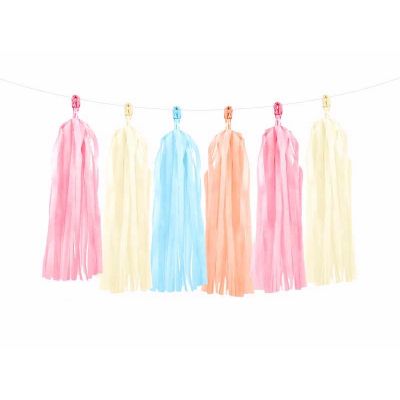 Assorted Colours Tassel Garland