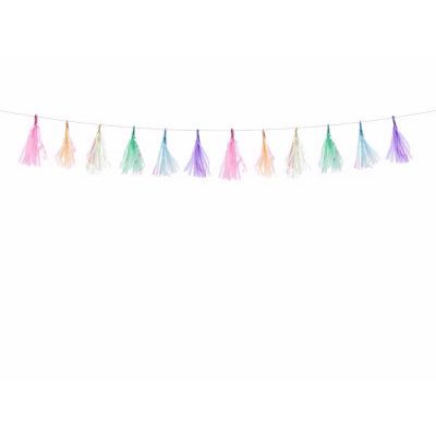 Assorted Colours Tassel Garland