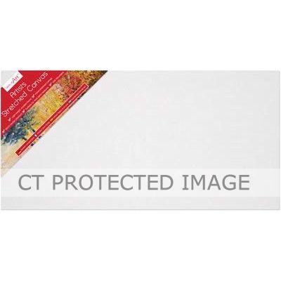 20 Inch X 10 Inch Long Canvas