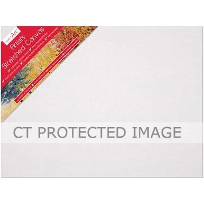 16 Inch X 12 Inch Value Framed Canvas