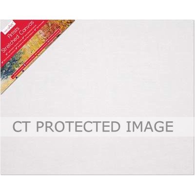 20 Inch X16 Inch Value Framed Canvas
